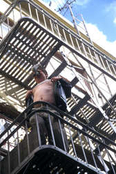 Alpha Dog gets beads for boobs