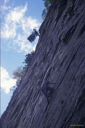 Scott rapping down Frog