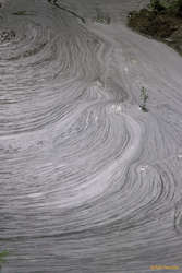 Interesting scum swirls at Peters Kill