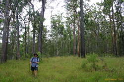 Mum walking into Frog Falls