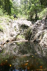 Geoff atop of of the pools