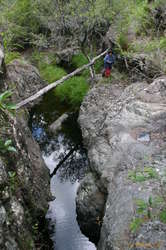 Mum at the bottom of the same section