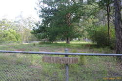 No idea what this fence is protecting