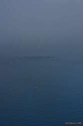 Ducks sailing into the fog (Reyðarfjörður)