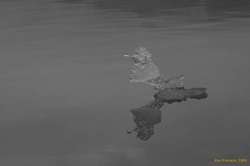 Balance and reflections, ice in Jökulsárlón