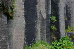 Striations in the Basalt