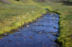 An idyllic little spot to rest and drink some water
