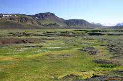 The flatlands were very different to the plateau