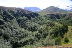 Could almost be california scrub, except for the glacier