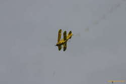 Playful little plane