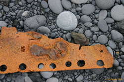 Circles of rock and iron