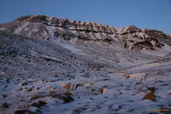 Didn't even make it to the shoulder :)