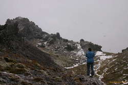 Journey into the wilderness