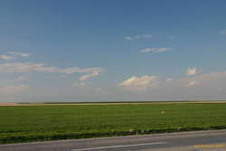 Fertile Land near konya