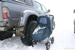 More tough icelandic babies