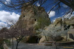 Cherry trees and a church