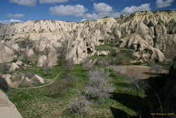 Cherry trees in the Göreme Valley