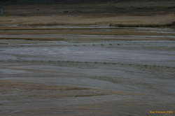 Fast and slow water rushing out to sea