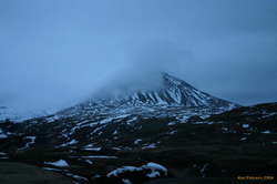 Baula in the gathering dusk