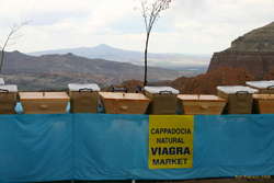 I didn't actually look inside