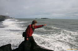 Karl spots something!