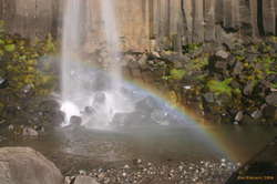 The pool at Svartifoss