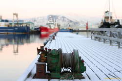 This pier is fairly quiet