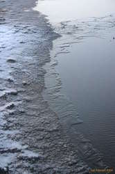 Iceforming on a puddle