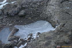 Ice patterns