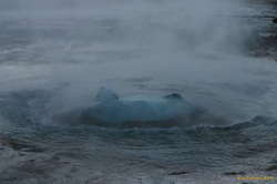 Bursting out of it's skin