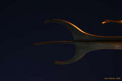 Nearly lined up Cassiopea through the bow