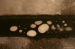 Footprints in the trench