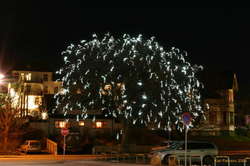 Not the normal nordic christmas tree