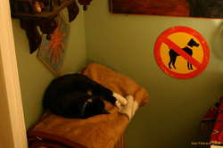 Defender of the house, Mjólkhvít haard at work