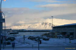 Looking out my window at lunchtime