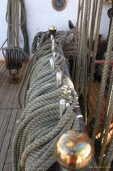 I guess they know which is which