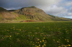 Trölladyngja from the meadow