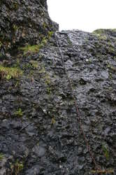 Up that! A bit of excitement