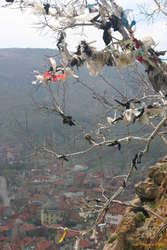Votive strips tied to trees