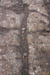 Wonderful rock/mud patterns