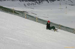 Lee chills on the way down