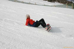 Alda screeches to a stop