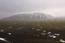 Geitafell in a bit of grey goop