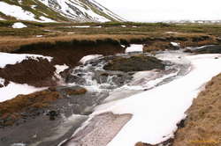 This swollen creek, amongst others, proved to be large obstacles
