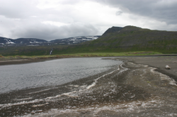 Feathers on the beach