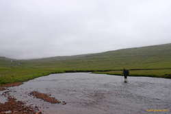 Pondering the meaning of cold feet, Barðsvíkurós