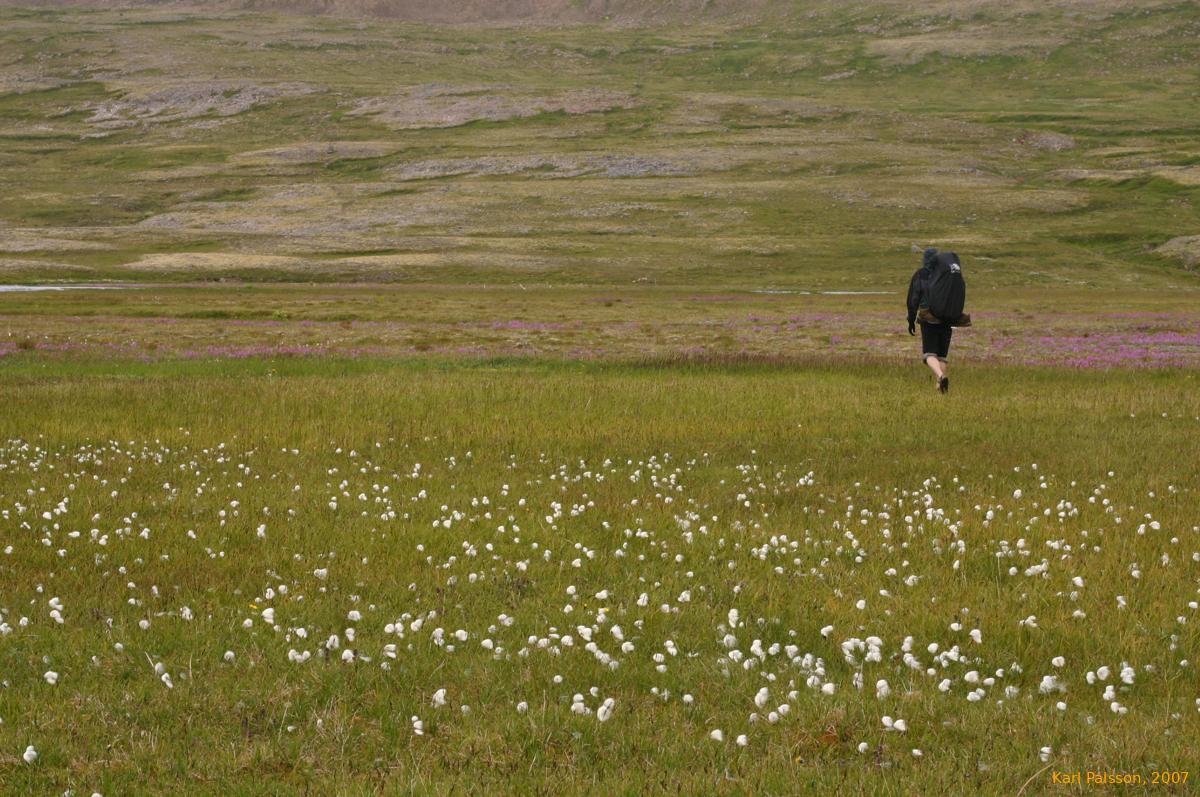 Crossing Þaralátursós