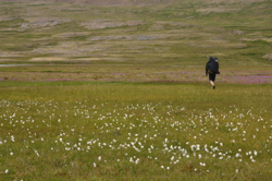 Crossing Þaralátursós