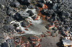 Colours in the pools