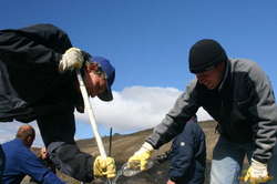 Wolfgang and Gudio playing with concrete
